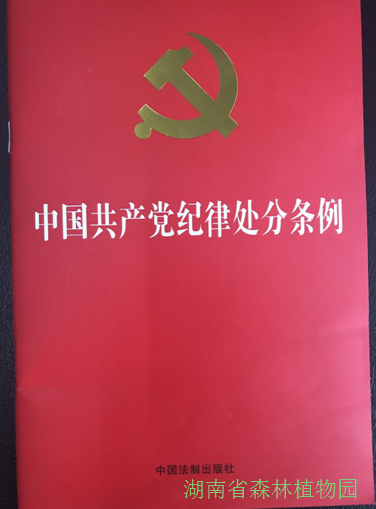 AG旗舰厅(中国游)官方网站