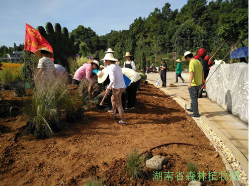 AG旗舰厅(中国游)官方网站