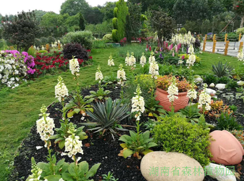 AG旗舰厅(中国游)官方网站