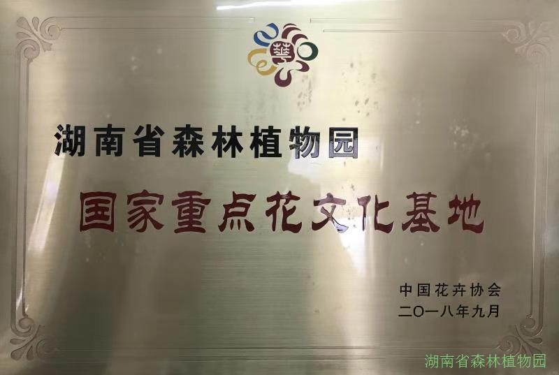 AG旗舰厅(中国游)官方网站
