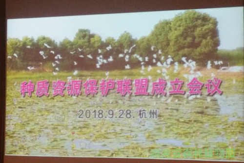 AG旗舰厅(中国游)官方网站