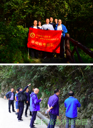 AG旗舰厅(中国游)官方网站