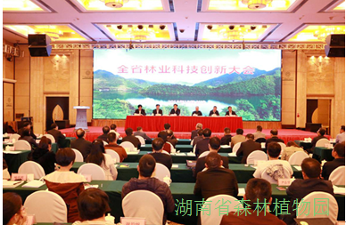 AG旗舰厅(中国游)官方网站