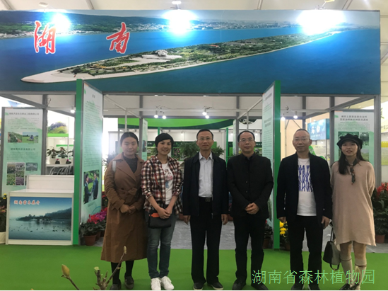 AG旗舰厅(中国游)官方网站