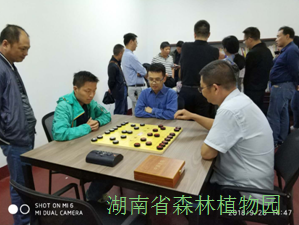 AG旗舰厅(中国游)官方网站