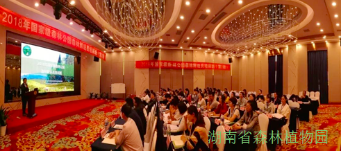 AG旗舰厅(中国游)官方网站