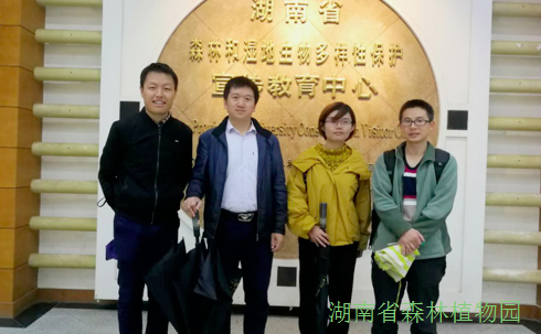 AG旗舰厅(中国游)官方网站