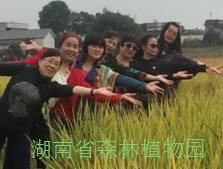 AG旗舰厅(中国游)官方网站