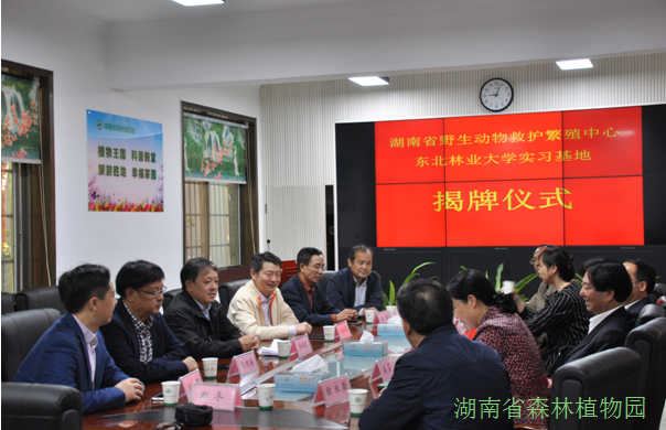 AG旗舰厅(中国游)官方网站