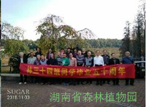 AG旗舰厅(中国游)官方网站