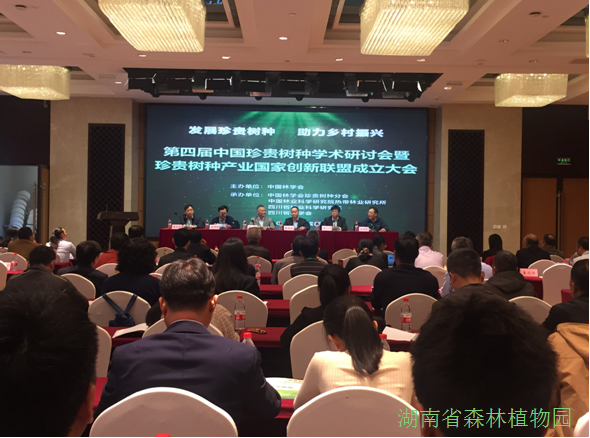 AG旗舰厅(中国游)官方网站
