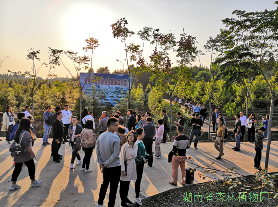 AG旗舰厅(中国游)官方网站