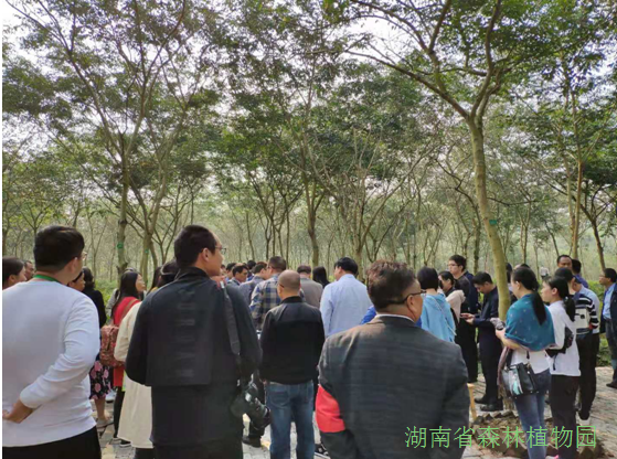 AG旗舰厅(中国游)官方网站
