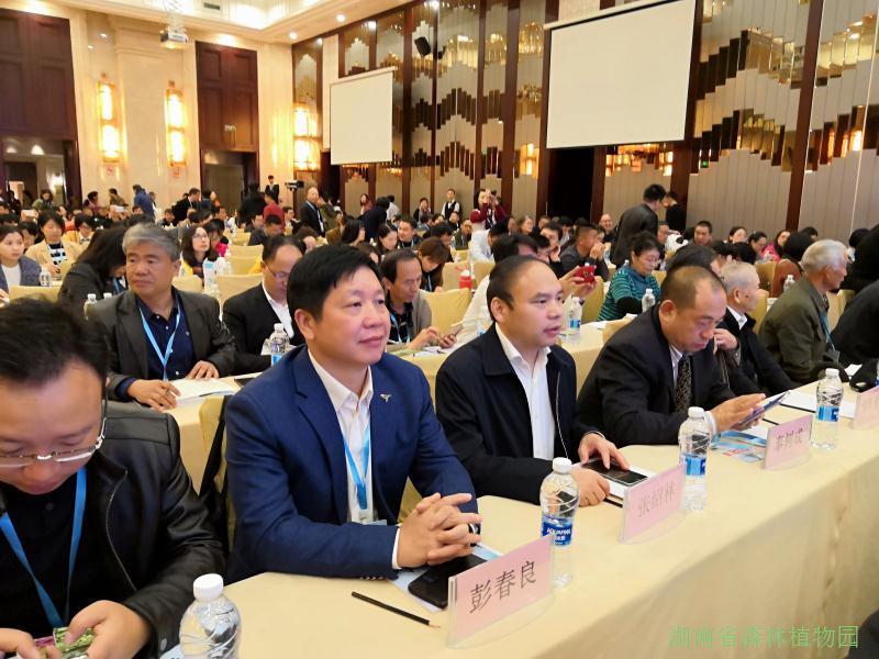 AG旗舰厅(中国游)官方网站