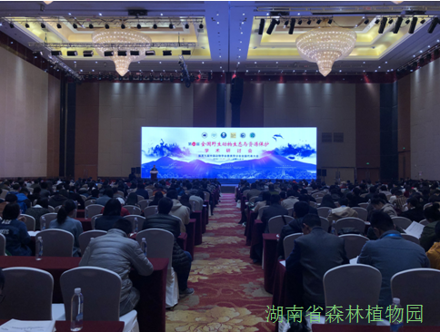 AG旗舰厅(中国游)官方网站