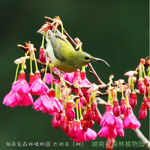 AG旗舰厅(中国游)官方网站
