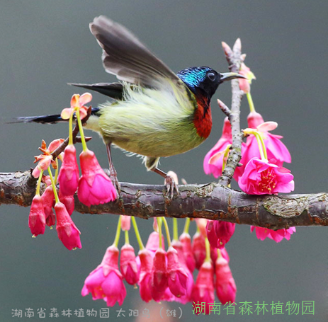 AG旗舰厅(中国游)官方网站