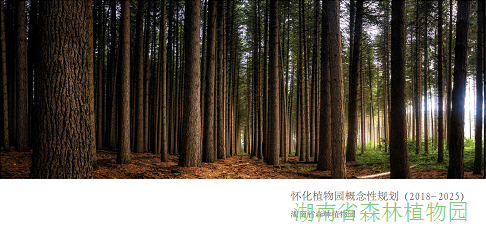 AG旗舰厅(中国游)官方网站