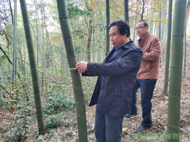 AG旗舰厅(中国游)官方网站