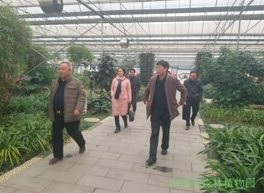 AG旗舰厅(中国游)官方网站