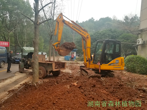 AG旗舰厅(中国游)官方网站