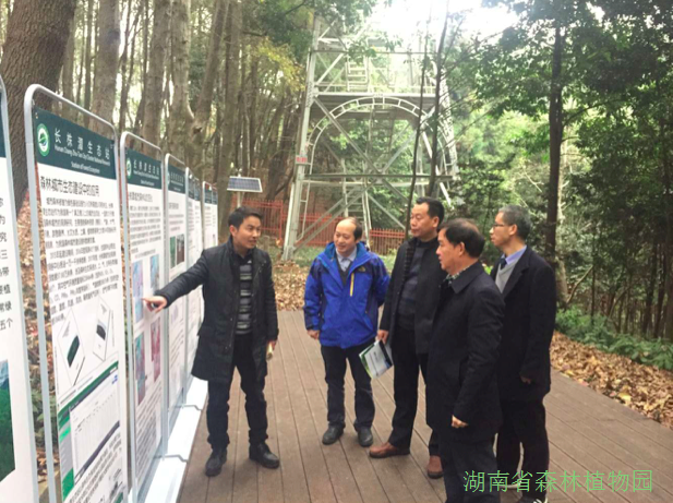 AG旗舰厅(中国游)官方网站