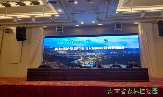 AG旗舰厅(中国游)官方网站