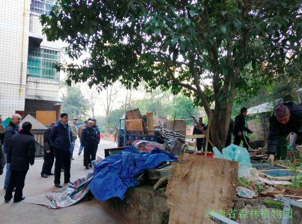 AG旗舰厅(中国游)官方网站