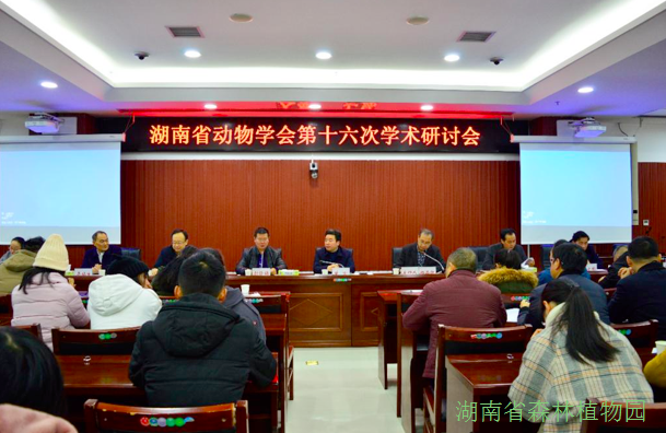 AG旗舰厅(中国游)官方网站