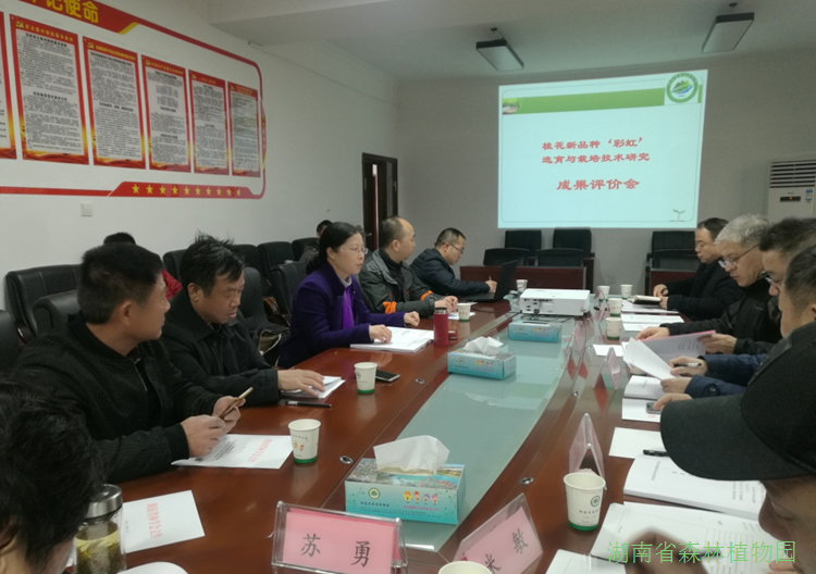 AG旗舰厅(中国游)官方网站