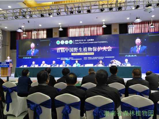AG旗舰厅(中国游)官方网站