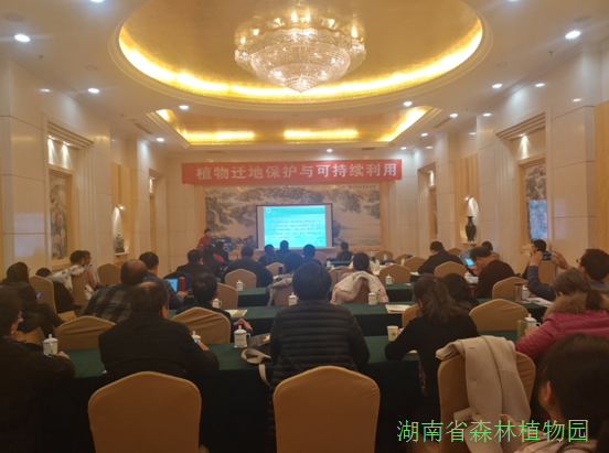 AG旗舰厅(中国游)官方网站