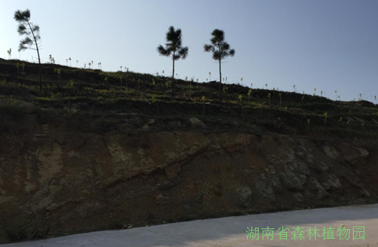 AG旗舰厅(中国游)官方网站