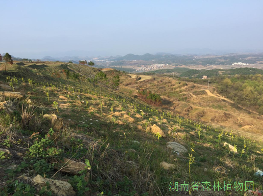 AG旗舰厅(中国游)官方网站