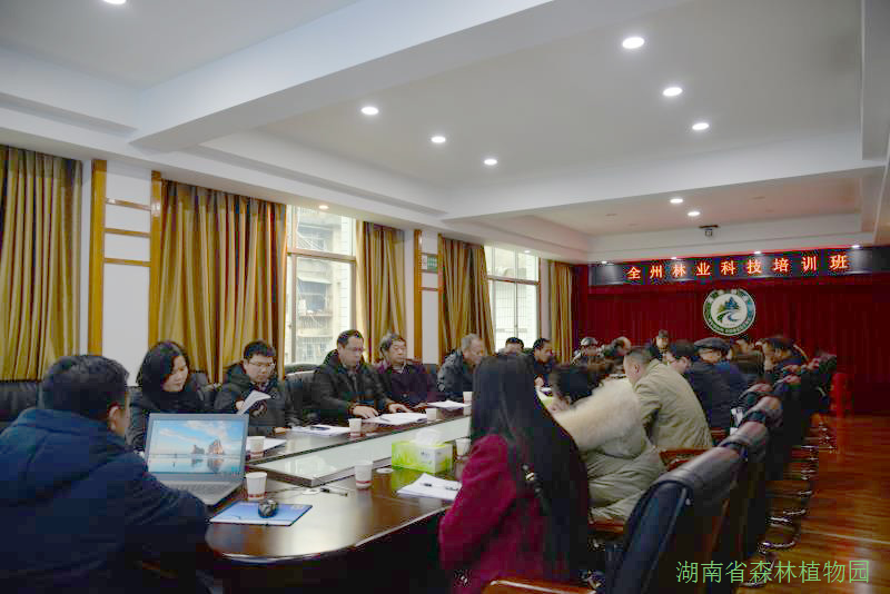 AG旗舰厅(中国游)官方网站