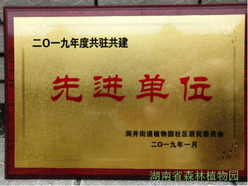 AG旗舰厅(中国游)官方网站