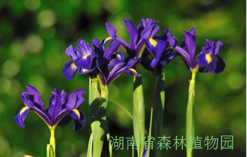 AG旗舰厅(中国游)官方网站