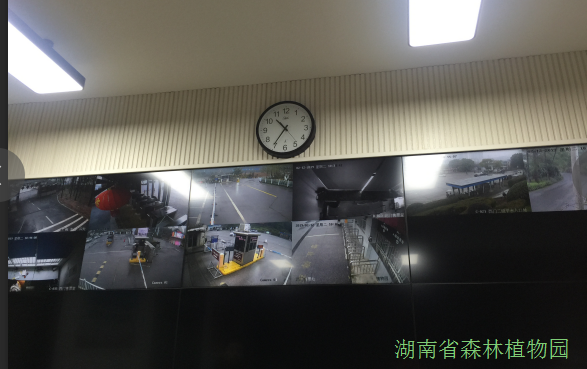 AG旗舰厅(中国游)官方网站