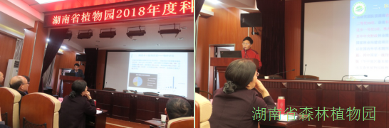 AG旗舰厅(中国游)官方网站