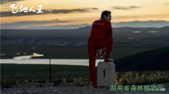 AG旗舰厅(中国游)官方网站