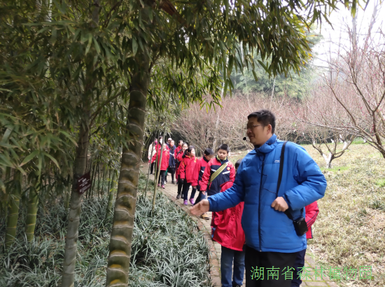 AG旗舰厅(中国游)官方网站