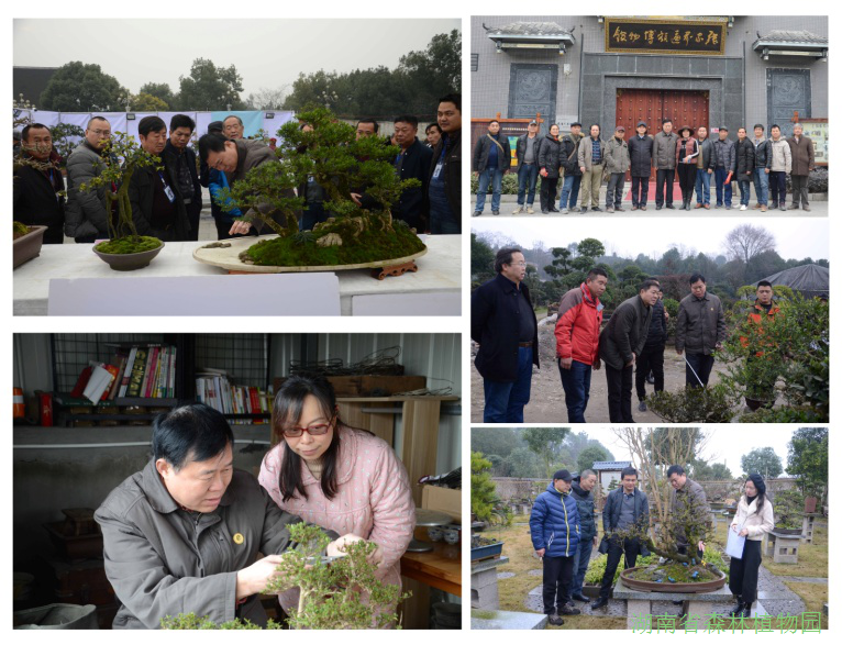 AG旗舰厅(中国游)官方网站