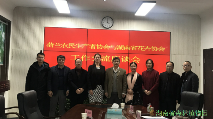 AG旗舰厅(中国游)官方网站