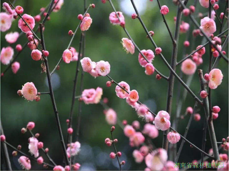 AG旗舰厅(中国游)官方网站