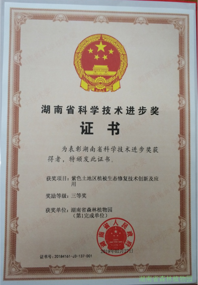 AG旗舰厅(中国游)官方网站