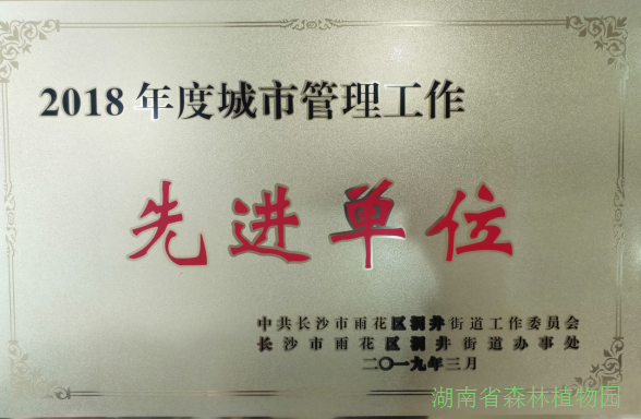 AG旗舰厅(中国游)官方网站
