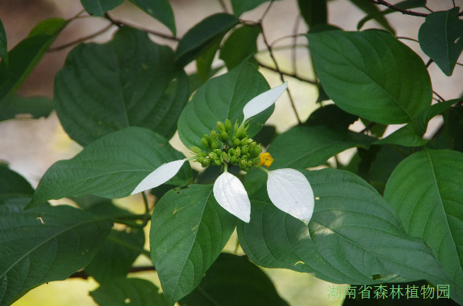 AG旗舰厅(中国游)官方网站