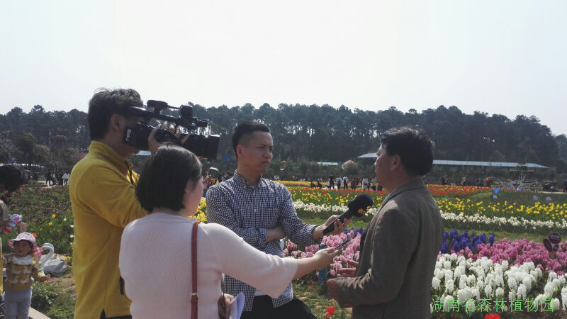 AG旗舰厅(中国游)官方网站