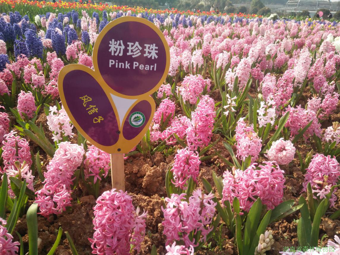 AG旗舰厅(中国游)官方网站