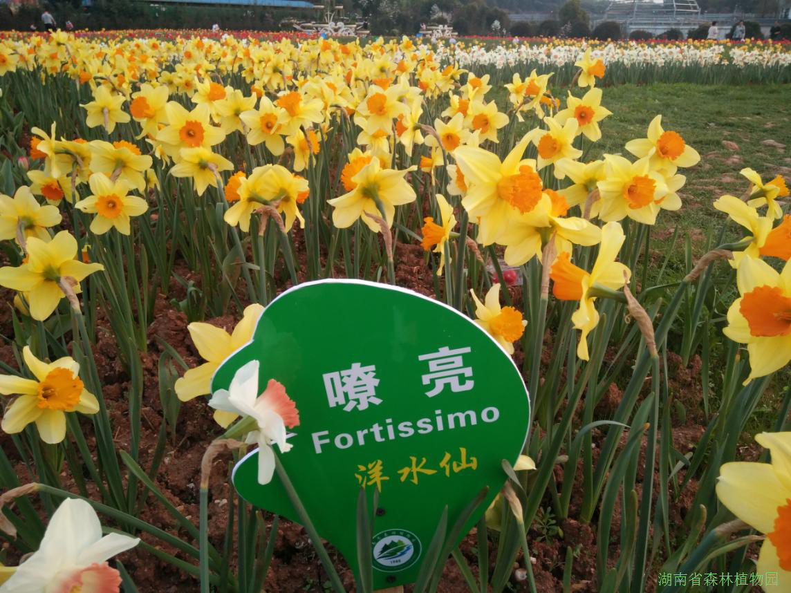 AG旗舰厅(中国游)官方网站